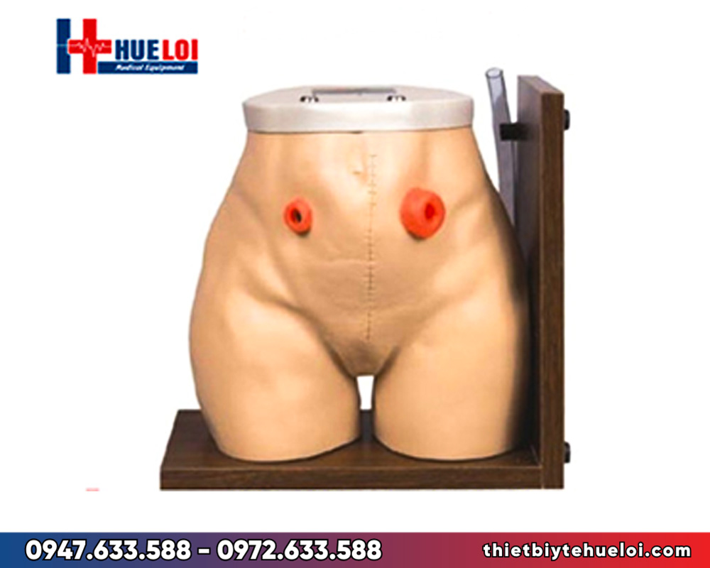 Mô hình thực hành chăm sóc hậu môn nhân tạo